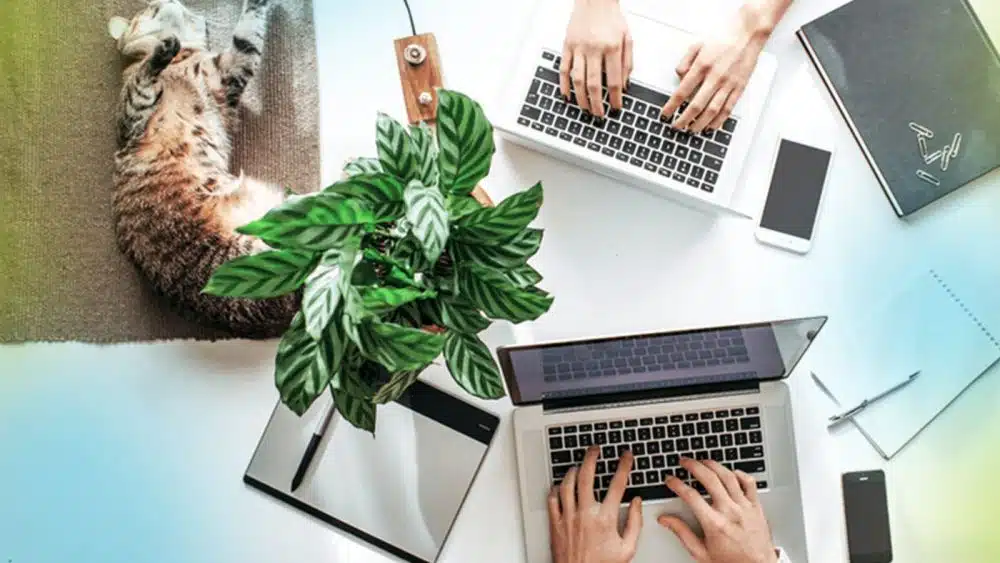 Two individuals are typing on their laptops