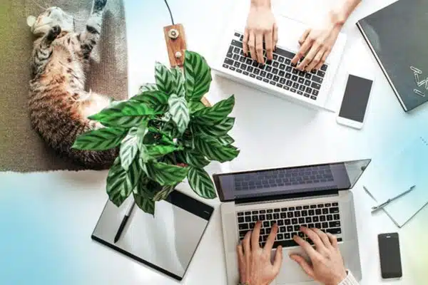 Two individuals are typing on their laptops