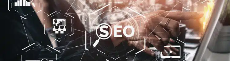 SEO Manager