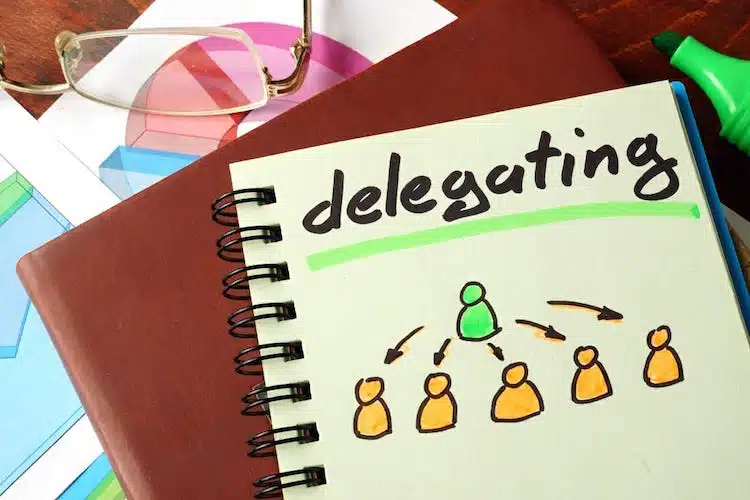 5-Not-delegating-the-nitty-gritties-of-the-application-process