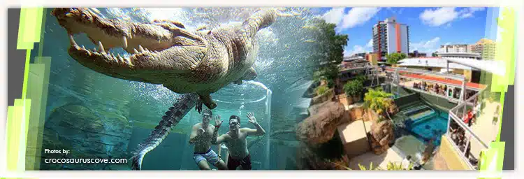 Experience Crocosaurus Cove in Darwin