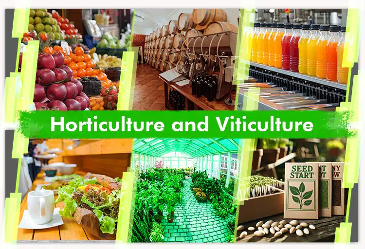 Horticulture and Viticulture