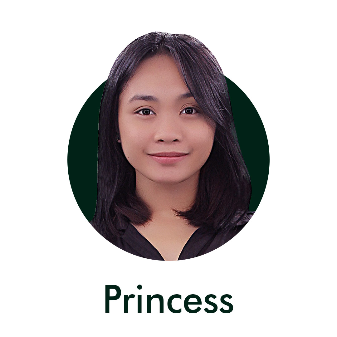 Princess - Compliance Data Analyst